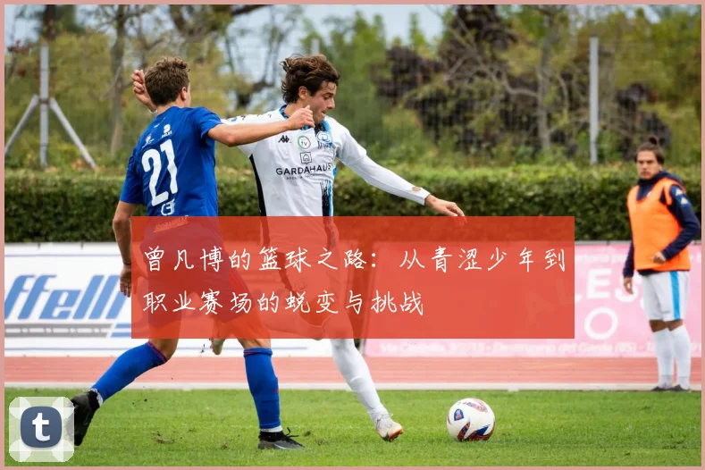 曾凡博的篮球之路：从青涩少年到职业赛场的蜕变与挑战