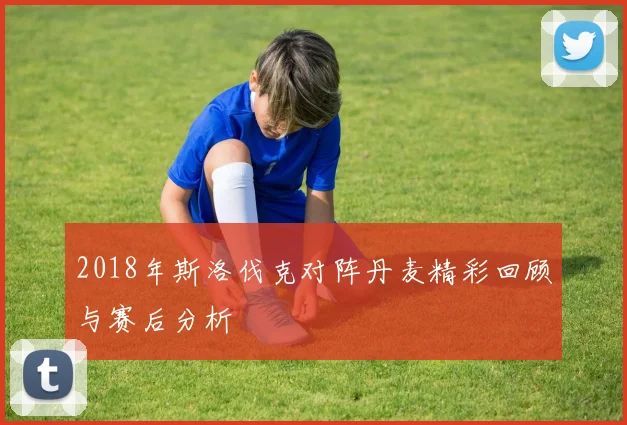 2018年斯洛伐克对阵丹麦精彩回顾与赛后分析