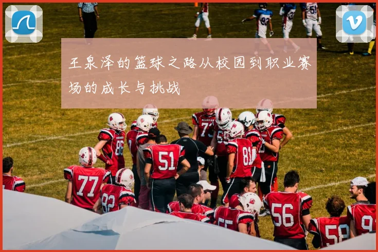 王泉泽的篮球之路从校园到职业赛场的成长与挑战