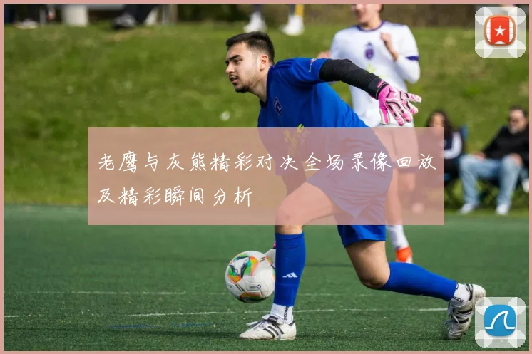 老鹰与灰熊精彩对决全场录像回放及精彩瞬间分析