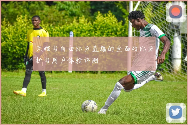 天猫与自由比分直播的全面对比分析与用户体验评测