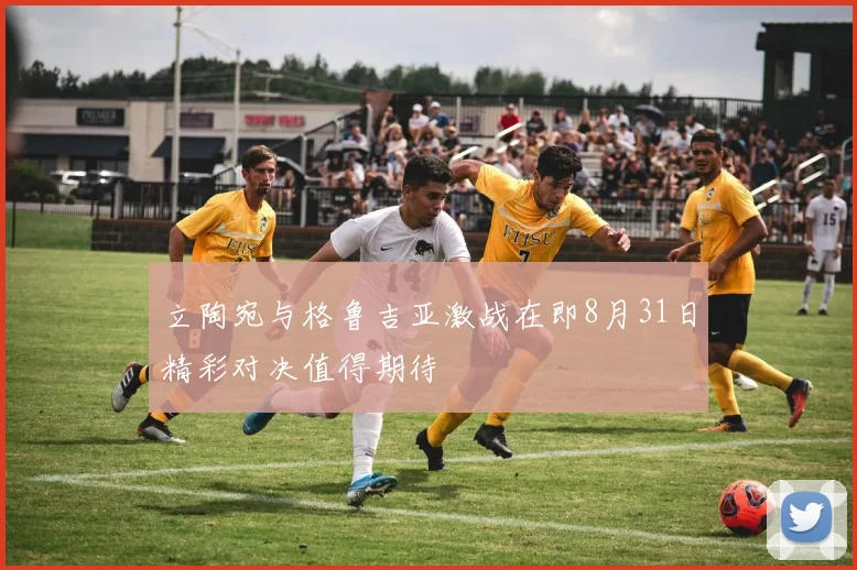 立陶宛与格鲁吉亚激战在即8月31日精彩对决值得期待